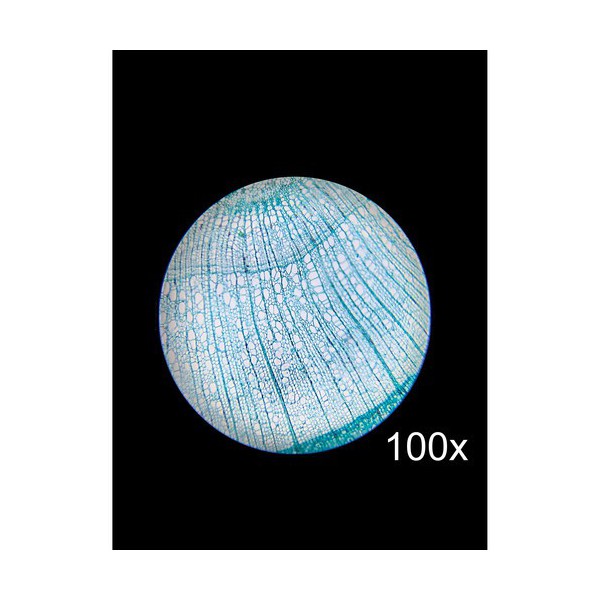 Barska Microscopio Estudiante