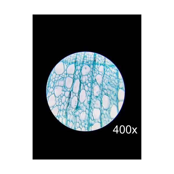 Barska Microscopio Estudiante