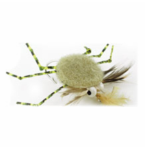 Wapsi Crab Coins 7/8"