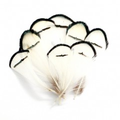 Wapsi Lady Amherst Pheasant Tippets