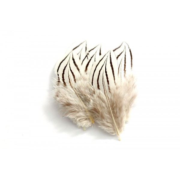 Wapsi Silver Pheasant Cheeks