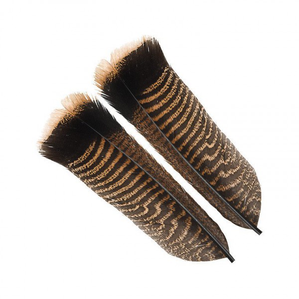 Wapsi Ozark Turkey Tail Cinamon Tip