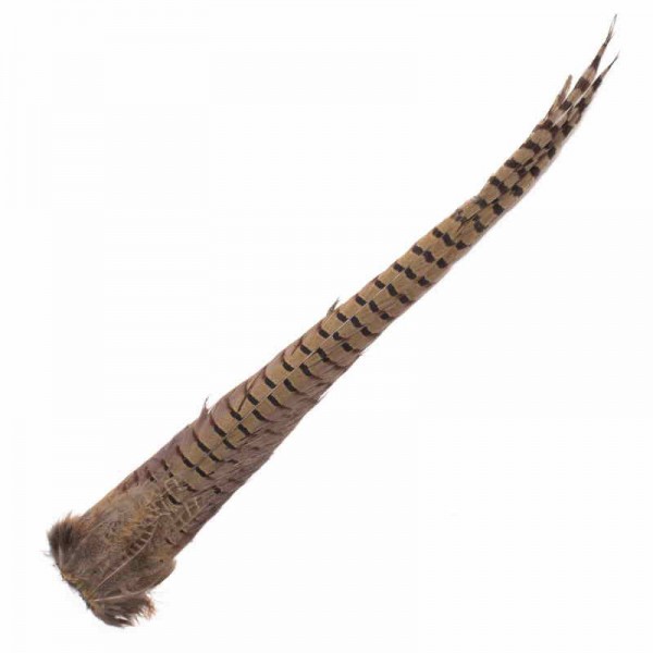 Wapsi Ringneck Pheasant Tail Clumps