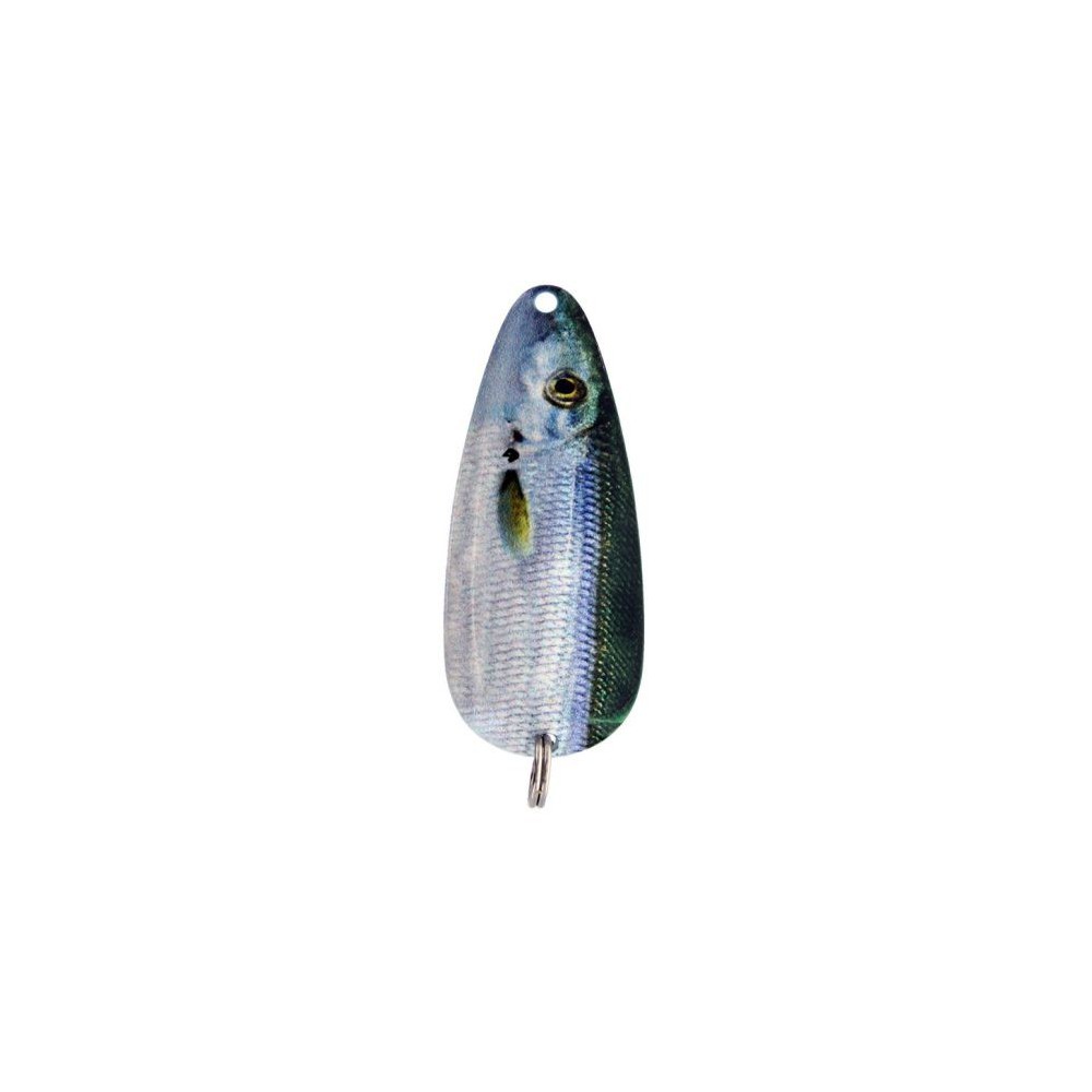 ETIC CUCHARA POSEIDON (3" -...
