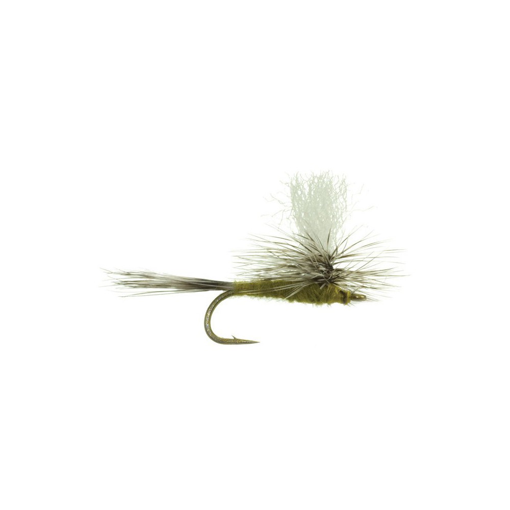 MOSCA GULPER SPECIAL OLIVE(03)