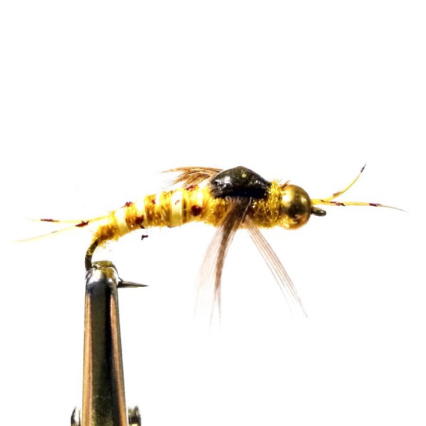 MOSCA EPOXY BACK,BIOT GOLDEN STONE (N68)
