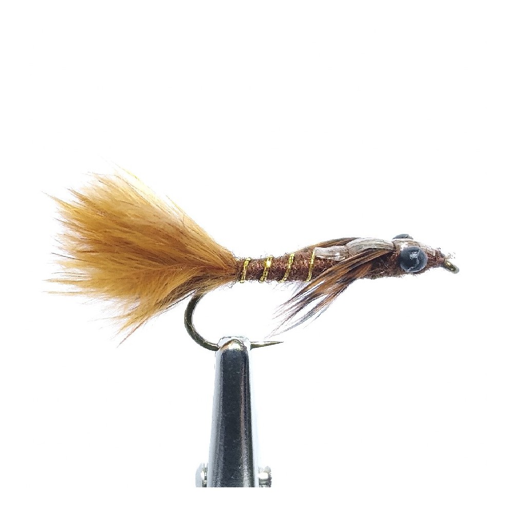 MOSCA DAMSEL BROWN (N80)