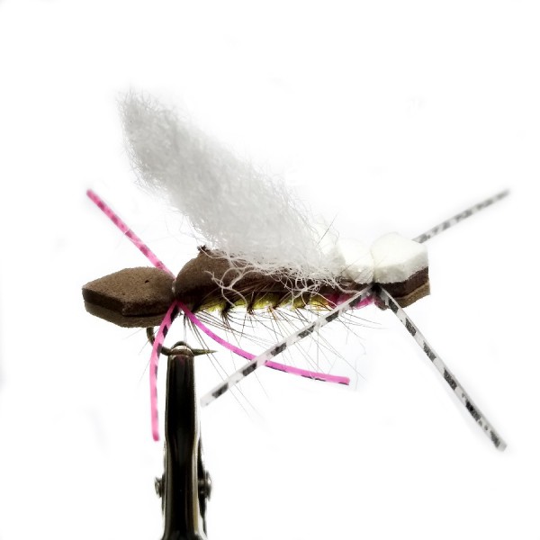 MOSCA GLOMER (T03)