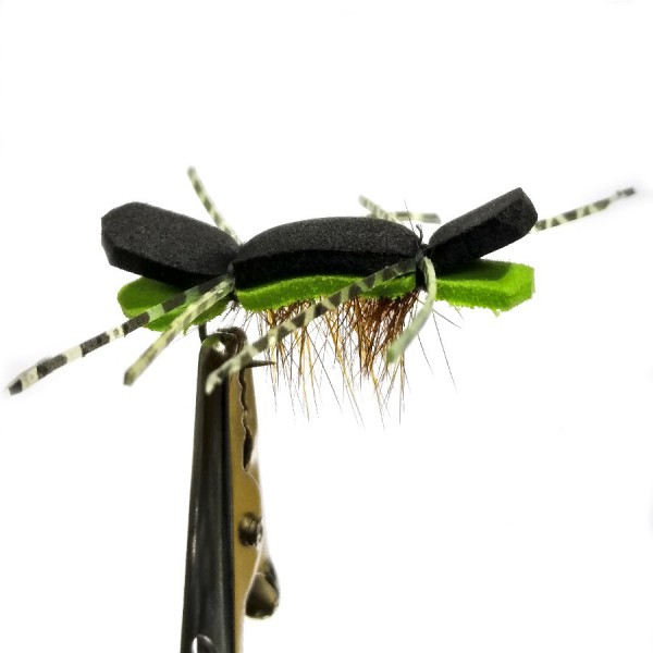 MOSCA (T63)