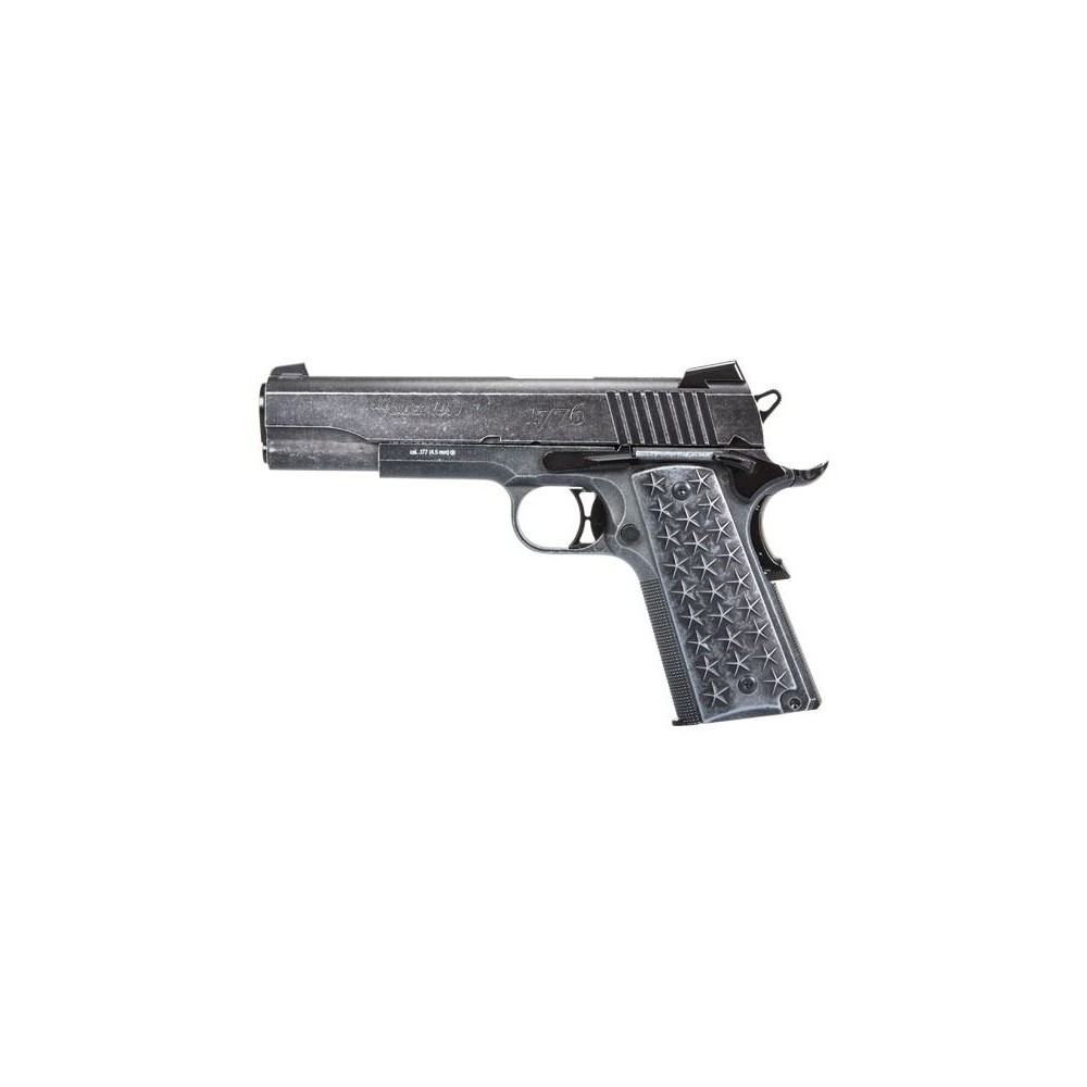 SIG SAUER 1911 WE THE...