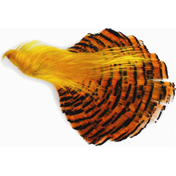 Wapsi Golden Pheasant Complete Head