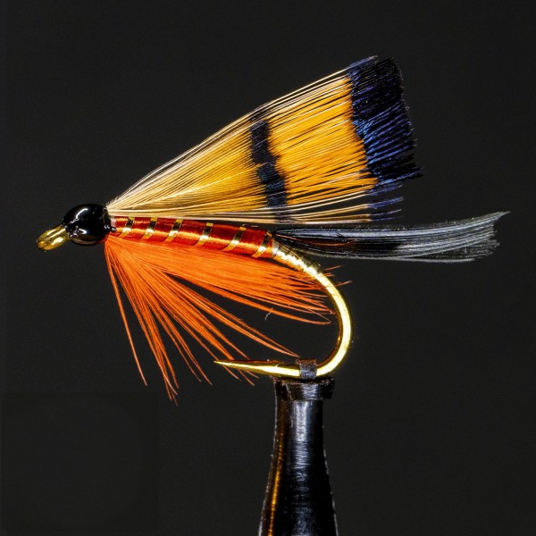 Wapsi Golden Pheasant Complete Head
