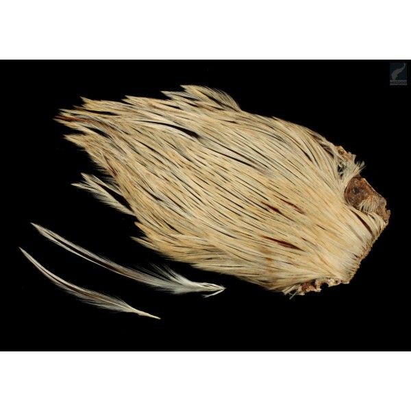 Wapsi Dry Fly ROOSTER NECK