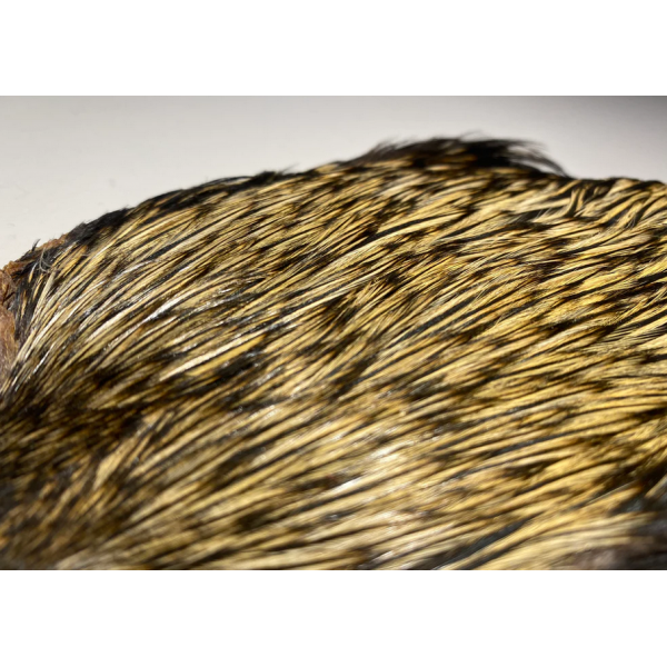 Wapsi Dry Fly ROOSTER NECK
