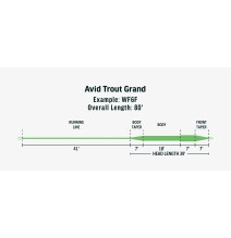 RIO Avid Trout - Grand WF 7 F