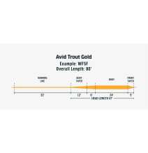 RIO Avid Trout - Gold WF 7 F