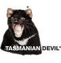 Tasmanian Devil